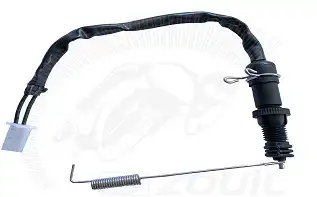 Interruptor Freio Traseiro Biz 100 (C/Mola)