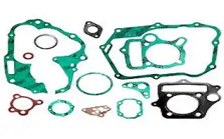 Jg Junta (S/Boracha) Pop 100 09/15