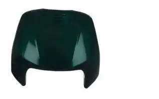 Carenagem Frontal (Bico) Pintado Biz 100 Verde 2002 (1069/130/12)