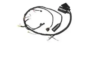 Fiação Principal Xtz 125 K 11/14