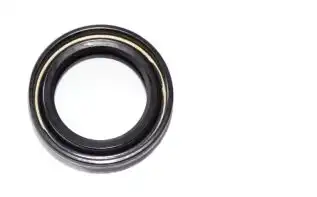 Retentor De Roda Tras. Vedamotors Titan 125/Titan 150/Fan 125 05/08/Fan 150 11/15/Cargo 125 00/04