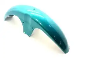 Paralama Dianteiro (C/Suporte) Titan 125 99 (Verde Metalico Claro)
