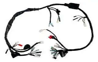 Fiação Principal Xlr125 Es 01/02