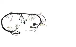 Fiação Principal Fazer 250 05/07