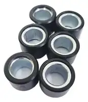 Rolete Contra Peso (6 Und) Nmax 250 21/24