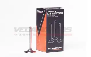 Válvula De Admissão Dream 100/Biz 100/Neo 115