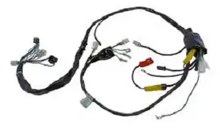 Fiação Principal Fan 125 05/08