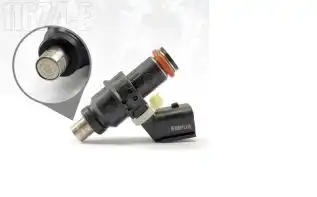 Bico Injetor Titan 150 09/10/Fan 150/Nxr Bros 150 09/12 Gasolina (6 Furos)