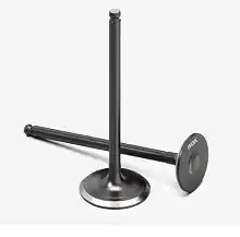 Válvula De Admissão Dream 100/Biz 100/Neo 115