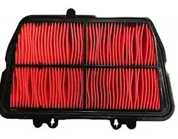 Elemento Filtro De Ar Tiger 800 (Xc/Xcx/Xca/Xr/Xrx) 11/20