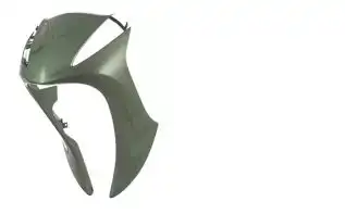 Carenagem Frontal (Bico) Pintado Biz 125 2011 Verde 2011