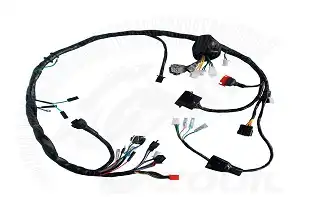 Fiação Principal Cbx 250 Twister 01/03