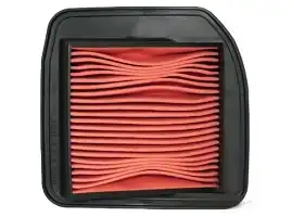 Filtro De Ar Filtran Titan 2000/Fan 125 05/08 (Mod. Original)