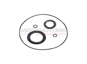 Kit Retentor Mesa Magneto (Kit) Biz 100 Es 98/15