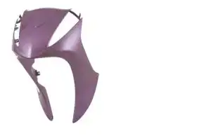 Carenagem Frontal (Bico) Pintado Biz 125 2011 Rosa 12/13