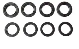 Retentor Kit Prolink Xlr125/Nx 150/200/Xr 200