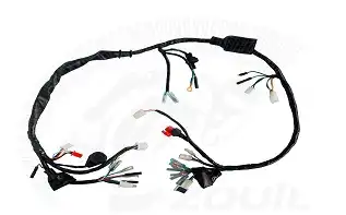 Fiação Principal Xlr125 Es 01/02