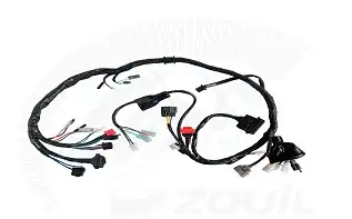 Fiação Principal Cbx 250 Twister 04/05