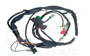 Fiação Principal Fan 125 Ks 09/11