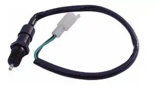 Interruptor Freio Traseiro Cg 125/Ml 125/Turuna 125 84/Today 125/Titan 92/99 (S/Mola)