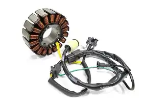 Mesa Estator Xre 300 13/14 (C/Abs)