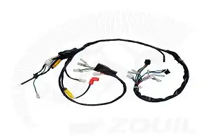 Fiação Principal Fan 125 05/08