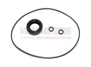 Kit Retentor Mesa Magneto (Kit) Biz 100 Ks