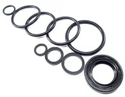 Kit Retentor Mesa Magneto (Kit) Biz 100 Ks (Sem Anel Maior)