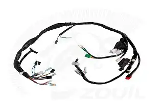 Fiação Principal Fan 125 Es 09/11